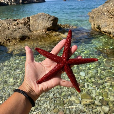 Appartamento Barone Castellammare del Golfo Buitenkant foto