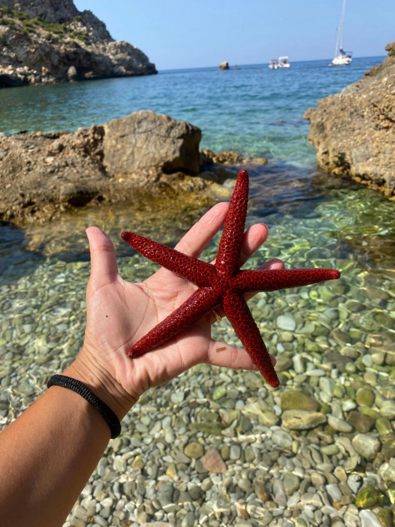 Appartamento Barone Castellammare del Golfo Buitenkant foto